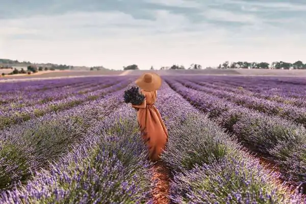 Spa L'occitane 1